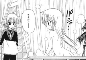 「ハヤテのごとく！」単行本7巻11話3