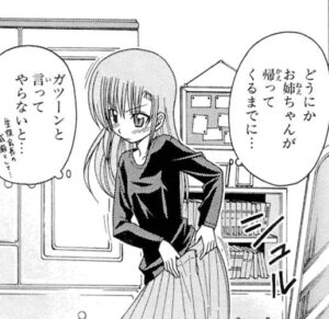 「ハヤテのごとく！」単行本8巻5話