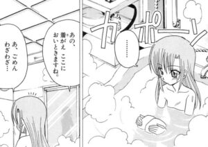 「ハヤテのごとく！」単行本8巻7話