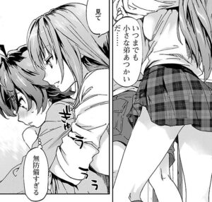 「姉のおなかをふくらませるのは僕」単行本1巻1話